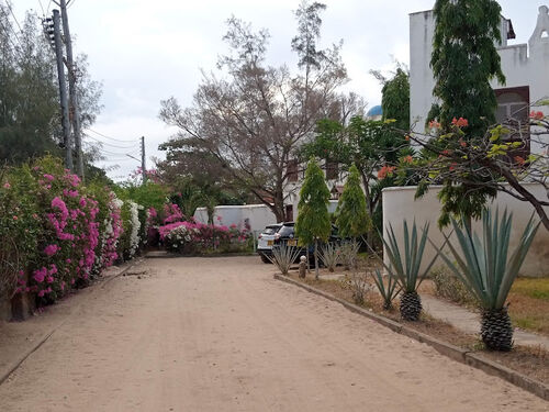 internal access road 