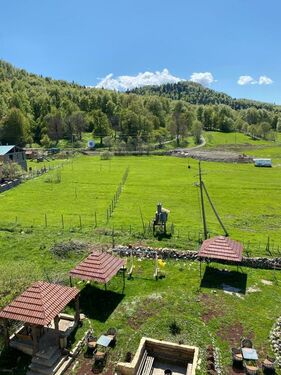 Mountain, Forest view