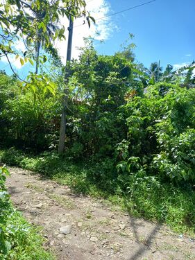 Adjacent barrio road