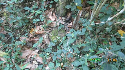 Lot southeast corner mark