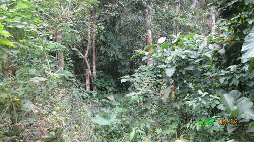 Inside, southwest corner