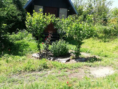 Older image of house