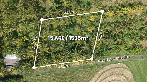 Balian (Bengkel Sari) - P