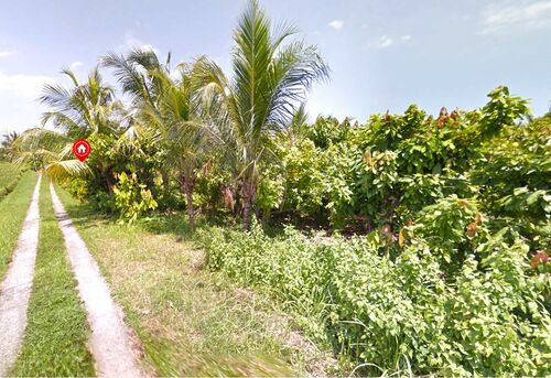 Balian (Bengkel Sari) - P