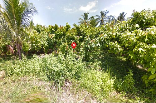 Balian (Bengkel Sari) - P