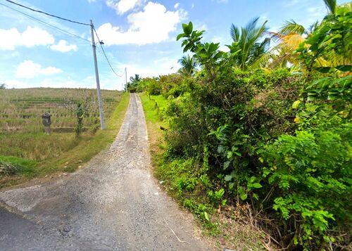 Balian (Bengkel Sari) - P