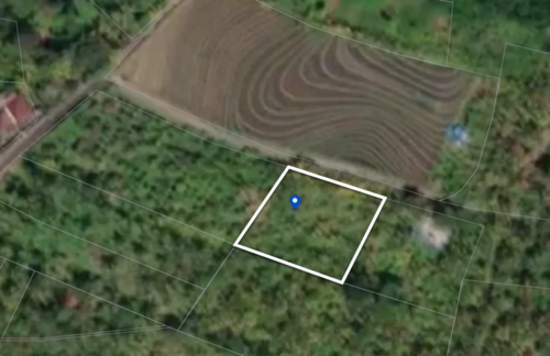 Balian (Bengkel Sari) - P