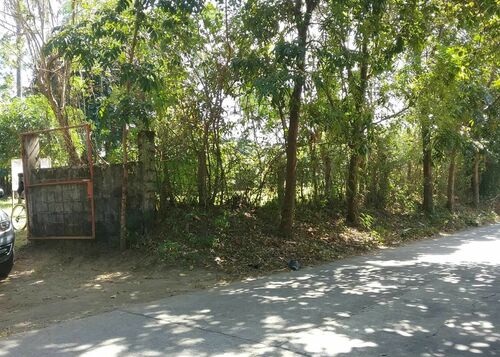 Farm Gate and Frontage