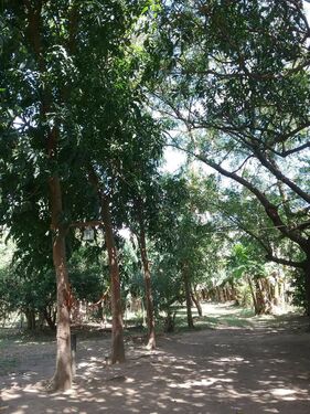 Former Farm Admin Area