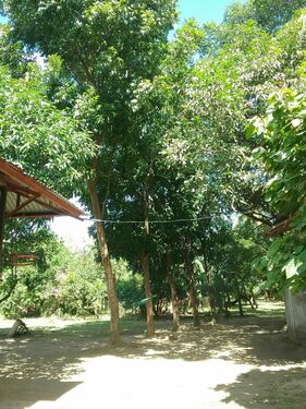 Another Admin Area View