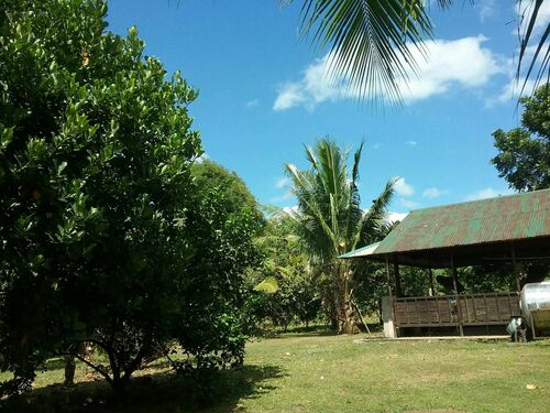 Another View of Gazebo