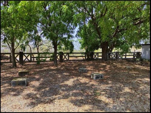 Looking at front street