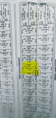 lot map, Lot 21