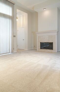 LIVING ROOM W/FIREPLACE