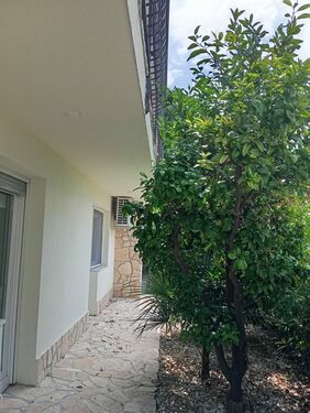 outside front of the hous