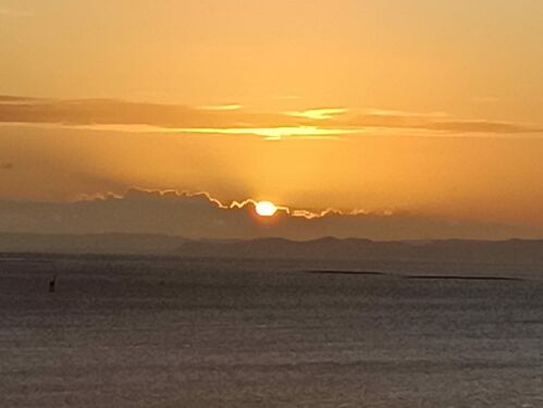 View Front  The Property