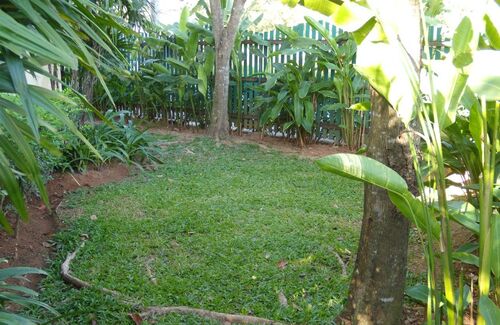 Garden next to apartment