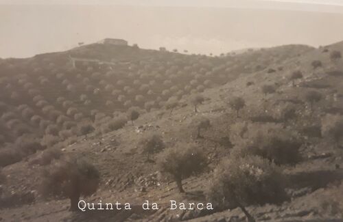 QUINTA da BARCA