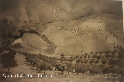 QUINTA da BARCA