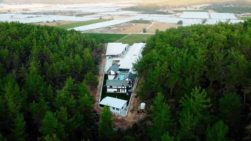 view of the farm from abo