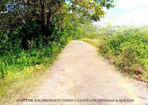 Land for Sale in Trinidad