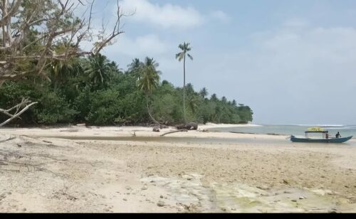 North Sipora, Mentawai