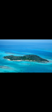 Aerial shots from the cop