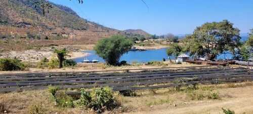 Property View Lake Kariba