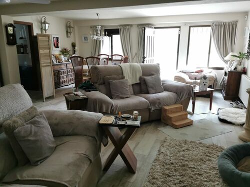 Downstairs Living Area