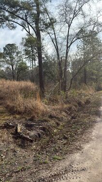 Oliver Dr Pineland SC 299