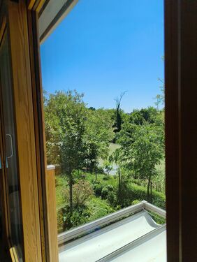 Vista giardino dalla sala