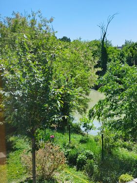 Vista giardino dalla sala