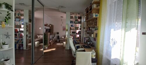 Built in mirror closet 