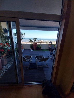 View from Sideroom