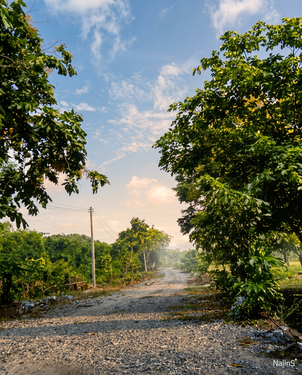 Internal Access Road