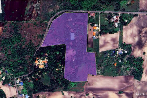 Surrounding Area View