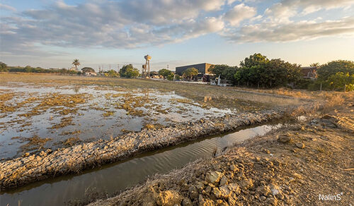 Surrounding Environment