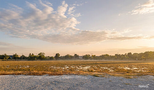 Open Development Land
