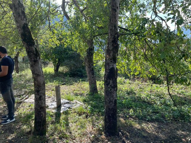 Garden - house front