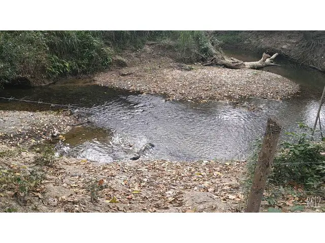 river in the property
