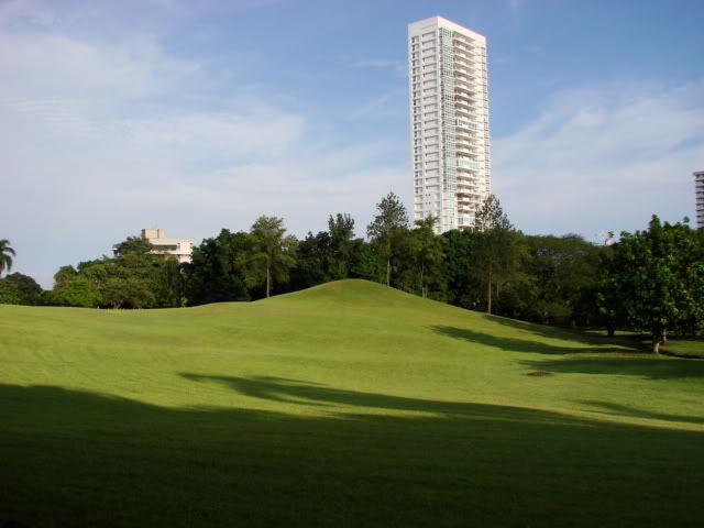 View from the park