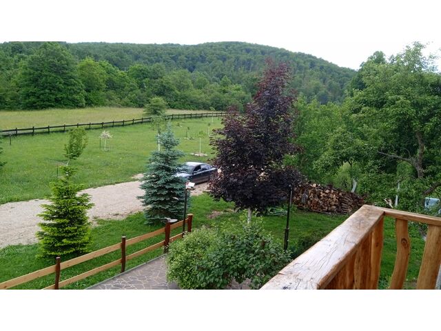 Look from one of rooms