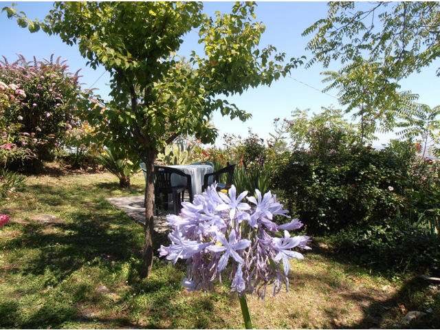 Seating area in Garden