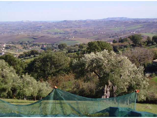 Harvesting showing sea