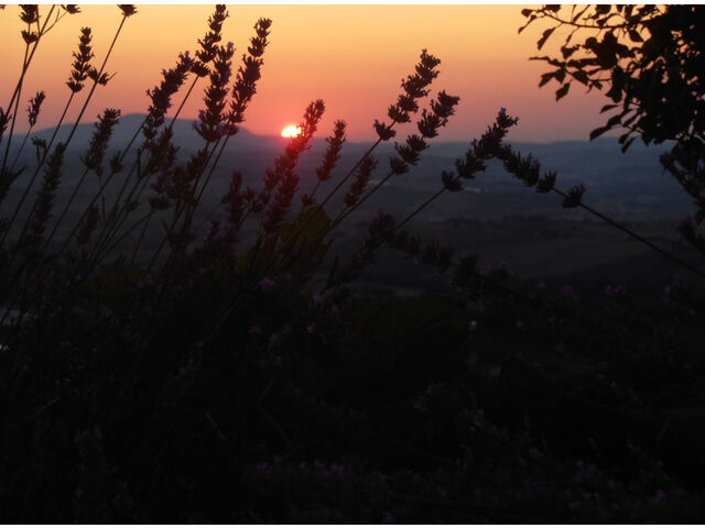 Sunrise view in summer