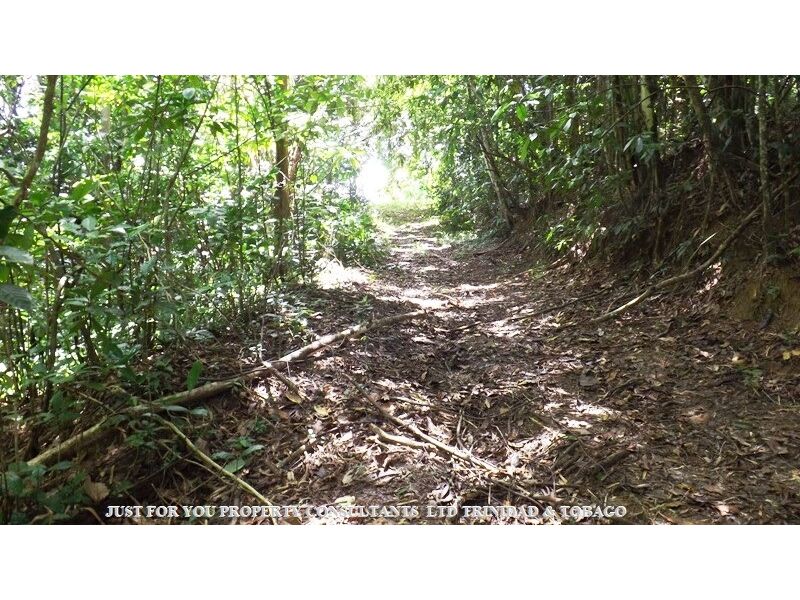Land for Sale in Trinidad