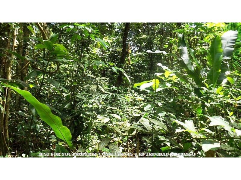 Land for Sale in Trinidad