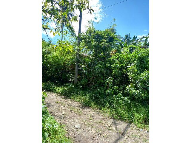 Adjacent barrio road