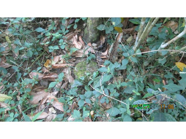 Lot southeast corner mark