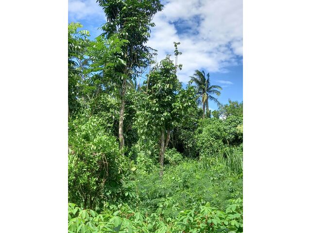 Lot northeast portion